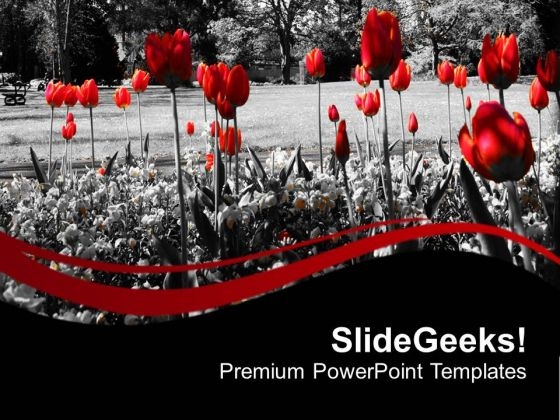 Red Flower With Black Background PowerPoint Templates Ppt Backgrounds For Slides 0713