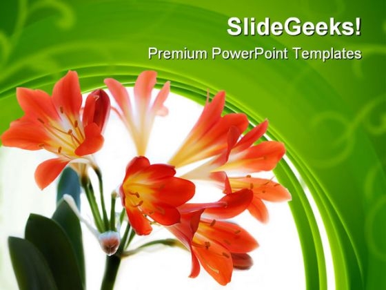 Red Flowers Beauty PowerPoint Themes And PowerPoint Slides 0411