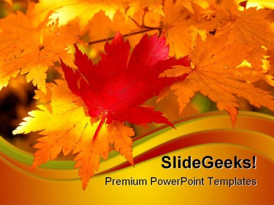 Red Maple Leaf Nature PowerPoint Templates And PowerPoint Backgrounds 0611