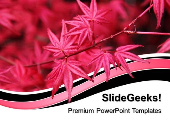 Red Maple Leaf Nature PowerPoint Templates And PowerPoint Themes 0512
