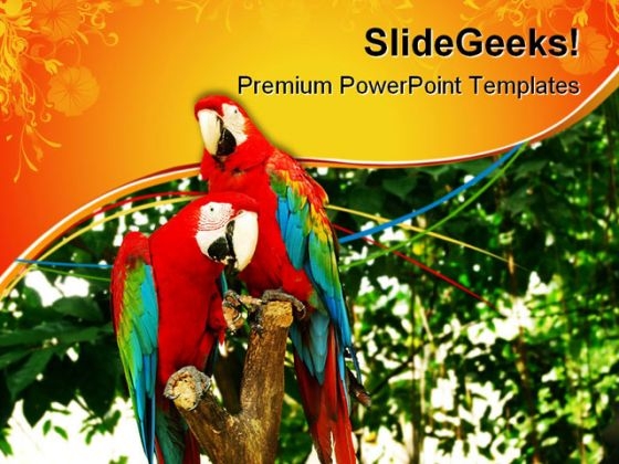 Red Parrots Animals PowerPoint Templates And PowerPoint Backgrounds 0611