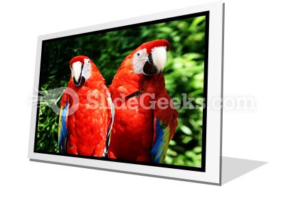 Red Parrots PowerPoint Icon F