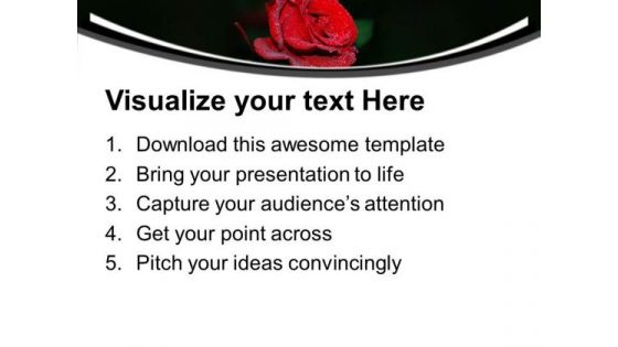 Red Rose Beauty Flower PowerPoint Templates Ppt Backgrounds For Slides 0313