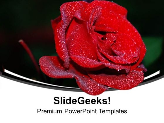 Red Rose Beauty Flower PowerPoint Templates Ppt Backgrounds For Slides 0313