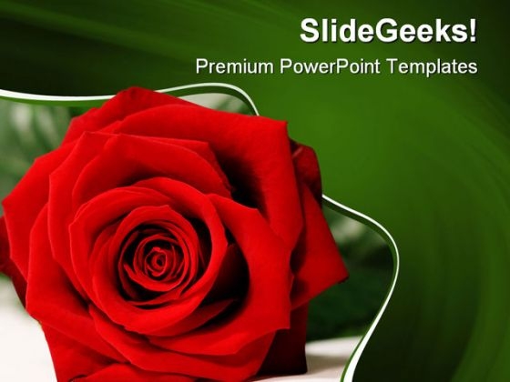 Red Rose Beauty PowerPoint Templates And PowerPoint Backgrounds 0211