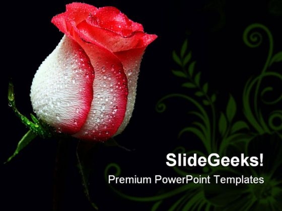 Red Rose Beauty PowerPoint Themes And PowerPoint Slides 0611
