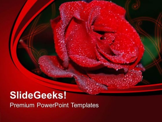Red Rose Flower Beauty PowerPoint Templates Ppt Backgrounds For Slides 0313