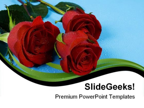 Red Roses01 Beauty PowerPoint Templates And PowerPoint Backgrounds 0611