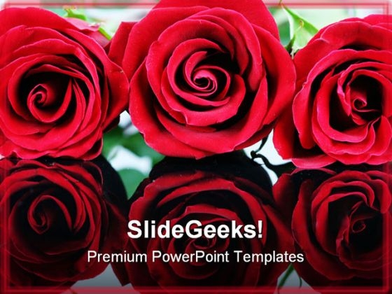 Red Roses Beauty PowerPoint Template 0610