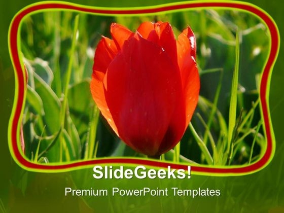 Red Tulip With Green Abstract Background PowerPoint Templates Ppt Backgrounds For Slides 0713