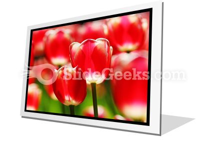 Red Tulips PowerPoint Icon F