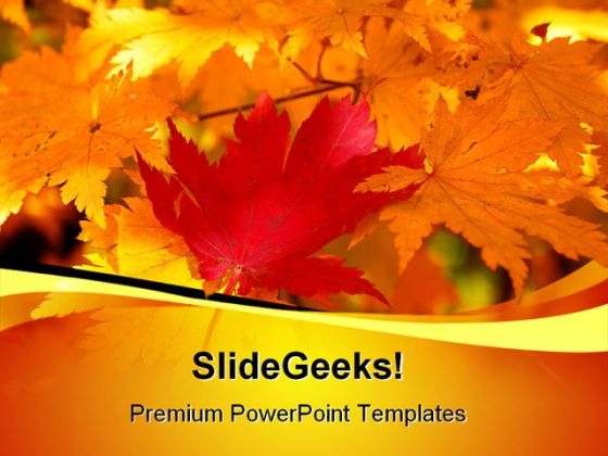 Red Yellow Maple Leaf Nature PowerPoint Templates And PowerPoint Backgrounds 0311