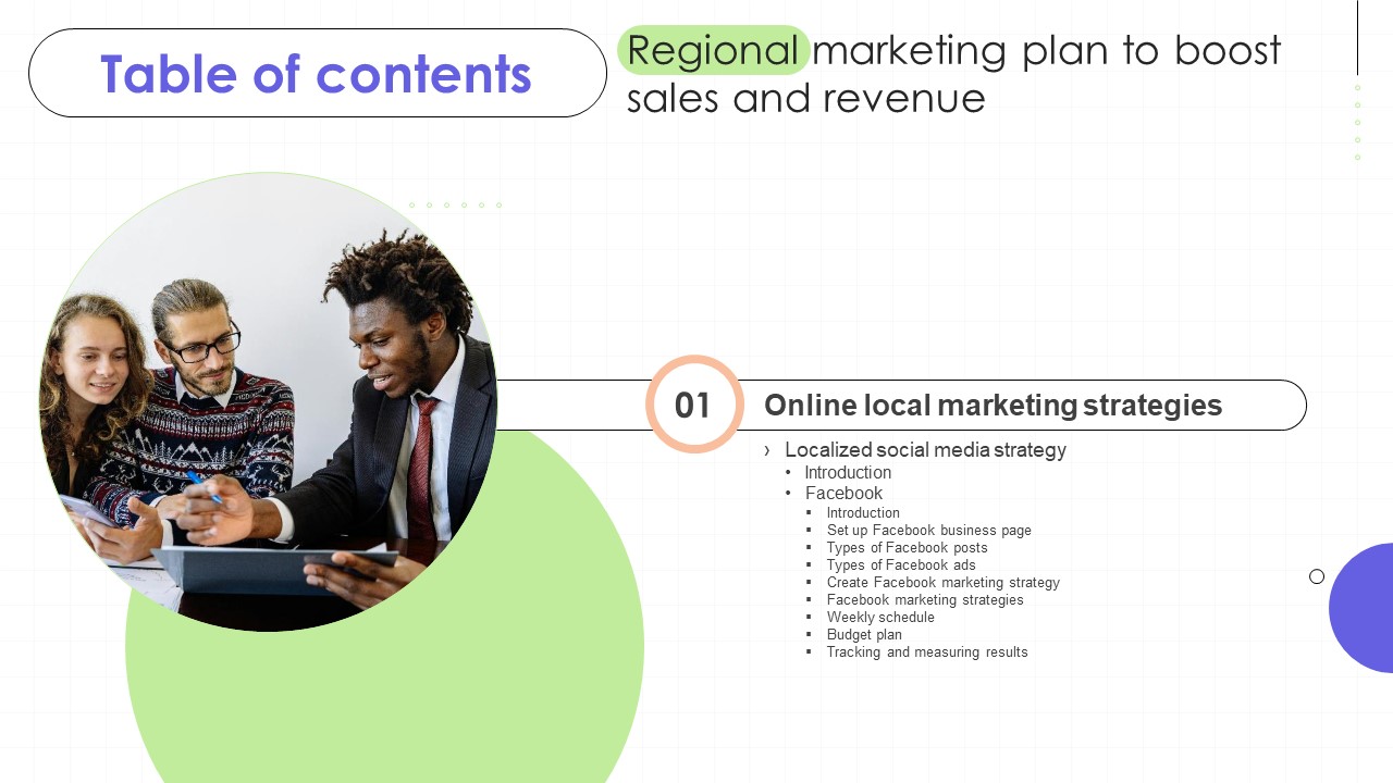 Regional Marketing Plan To Boost Sales And Revenue Table Of Contents MKT SS