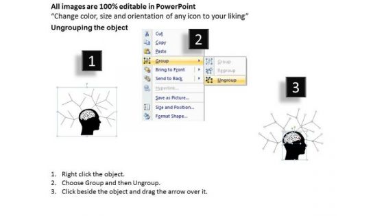 Representation Of Thought Process Mind Map Ppt Prepare Business Plan PowerPoint Templates