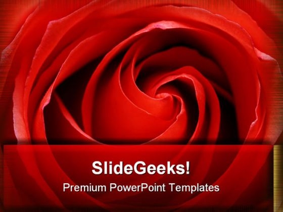 Rose Beauty PowerPoint Themes And PowerPoint Slides 0711