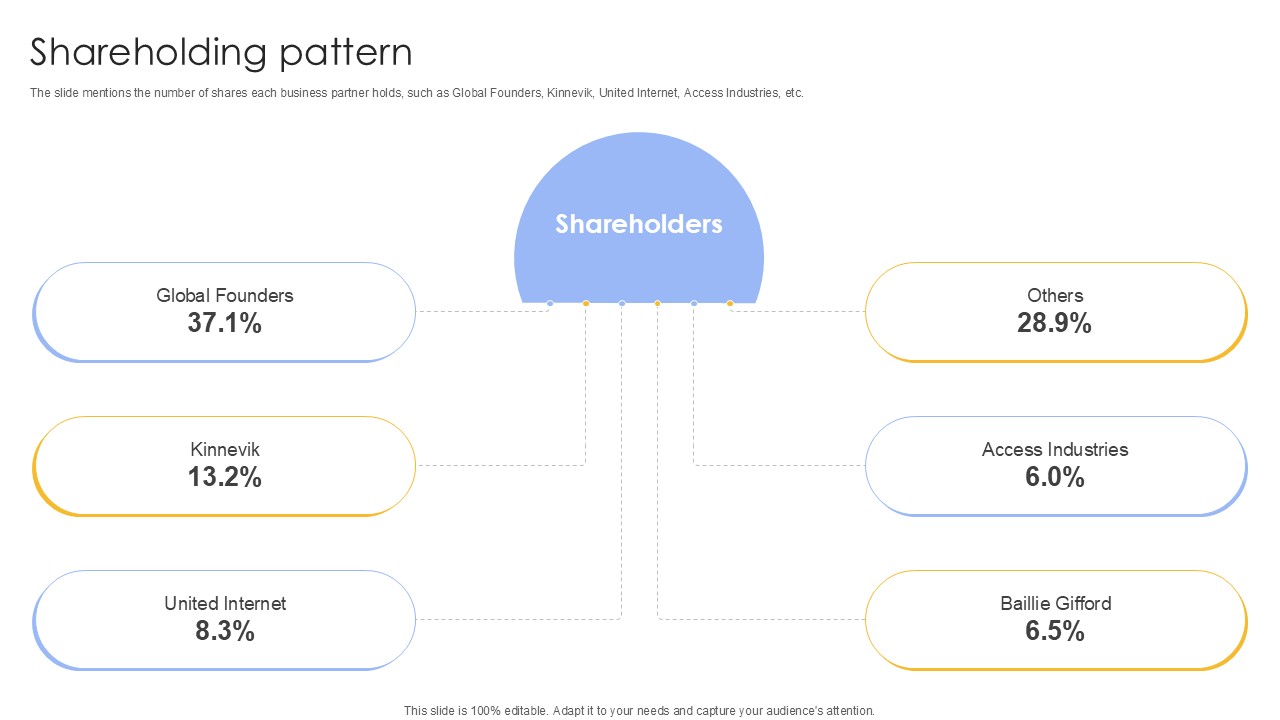 Shareholding Pattern Investment Company Investor Funding Elevator Ppt Sample