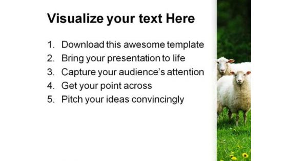 Sheep In Dandelion Field Animals PowerPoint Themes And PowerPoint Slides 0211