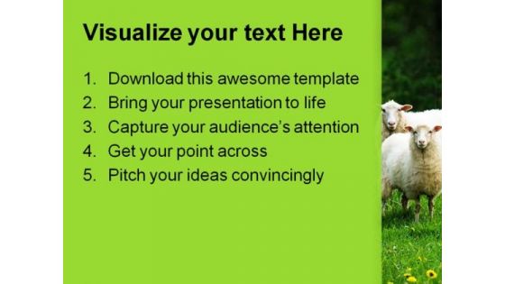 Sheep In Dandelion Field Animals PowerPoint Themes And PowerPoint Slides 0211