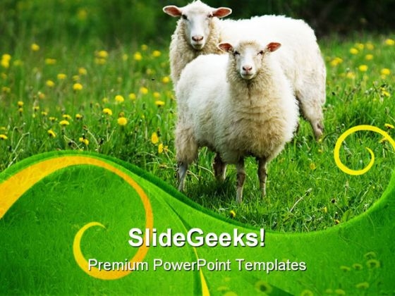 Sheep In Field Animals PowerPoint Templates And PowerPoint Backgrounds 0611