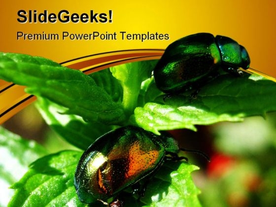 Shiny Beetles On Mint Leaves Nature PowerPoint Templates And PowerPoint Backgrounds 0611