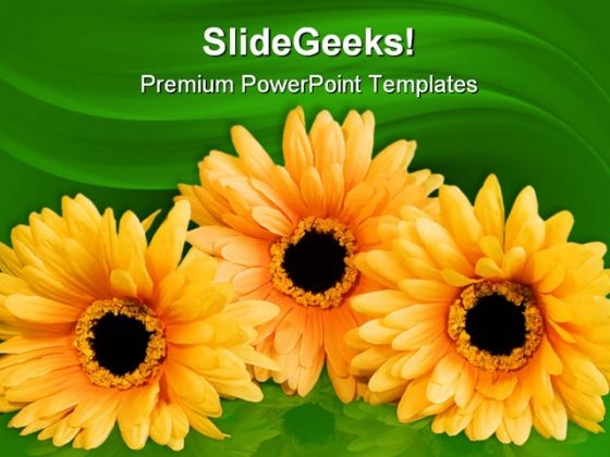 Silk Flowers Beauty PowerPoint Templates And PowerPoint Backgrounds 0211