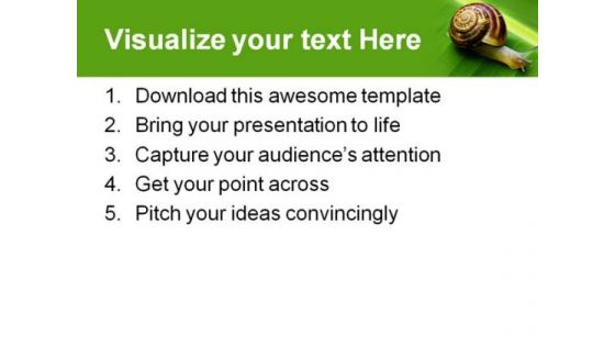 Snail On Leaf Animals PowerPoint Templates And PowerPoint Backgrounds 0611