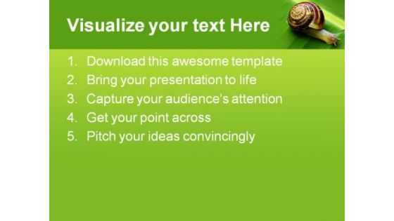 Snail On Leaf Animals PowerPoint Templates And PowerPoint Backgrounds 0611