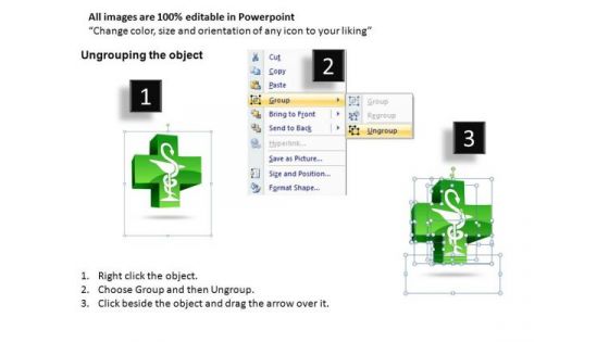Snake Symbol PowerPoint Templates