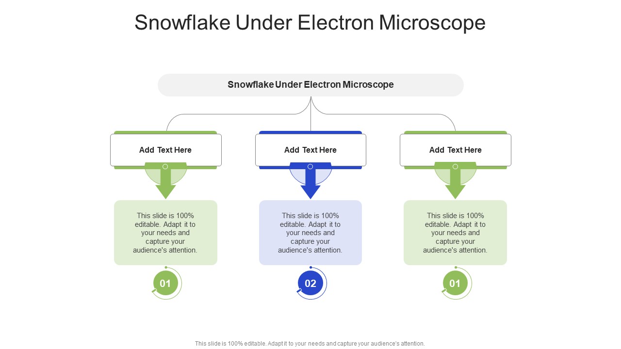 Snowflake Under Electron Microscope In Powerpoint And Google Slides Cpb