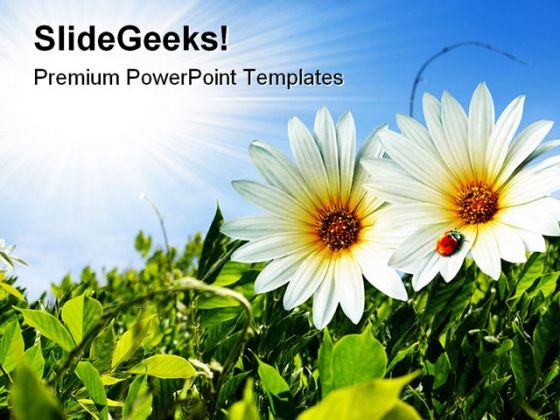 Spring Foliage Nature PowerPoint Templates And PowerPoint Backgrounds 0311