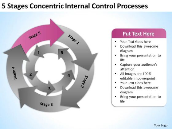 Stages Concentric Internal Control Processes Ppt Business Plan Download PowerPoint Templates