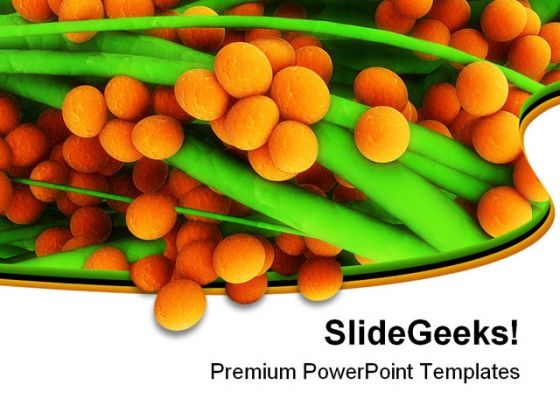 Staphylococcus Food PowerPoint Themes And PowerPoint Slides 0411