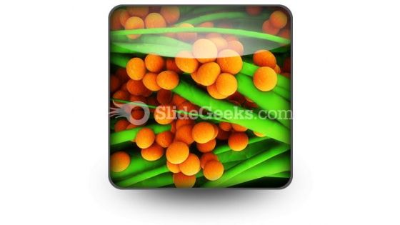 Staphylococcus Science PowerPoint Icon S