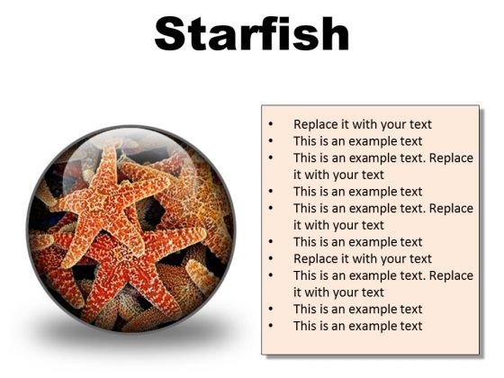 Starfish Animals PowerPoint Presentation Slides C