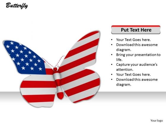 Stock Photo American Butterfly On White Background PowerPoint Slide