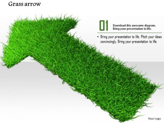 Stock Photo Arrow Made With Green Grass PowerPoint Slide