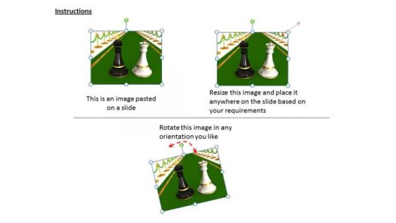 Stock Photo Black King With White Queen On Green Carpet PowerPoint Slide