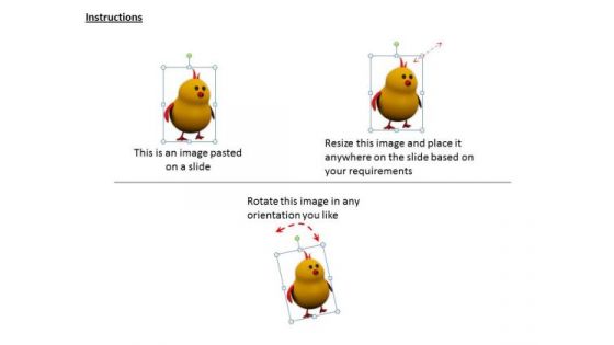 Stock Photo Business Policy And Strategy Cute Yellow Bird Graphic Photos