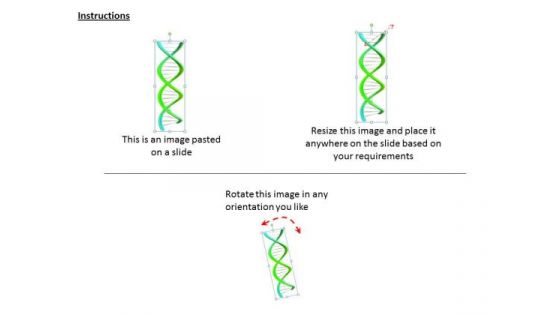 Stock Photo Business Strategy Implementation Two Strands Of Dna Structure Photos