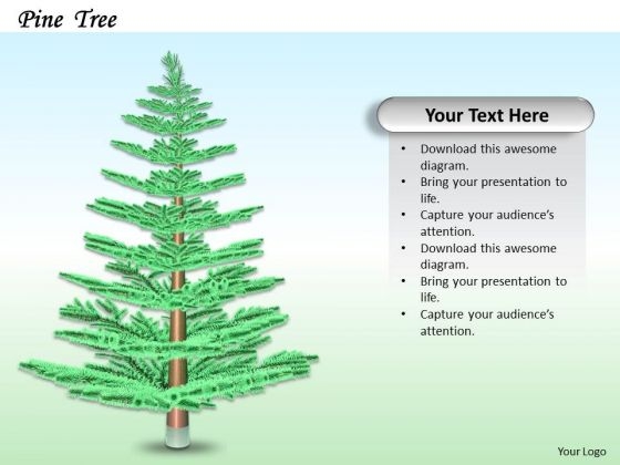 Stock Photo Creative Design Of Pine Tree PowerPoint Slide