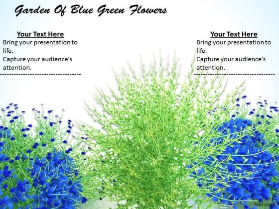 Stock Photo Garden Of Blue Green Flowers Ppt Template