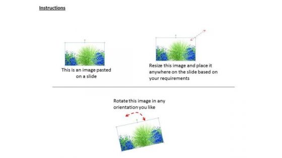Stock Photo Garden Of Blue Green Flowers Ppt Template