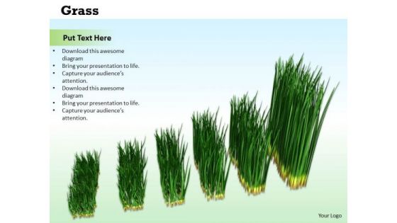 Stock Photo Graph Of Growing Green Grass PowerPoint Slide