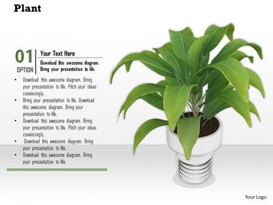 Stock Photo Graphics Of Green Plant In Vase PowerPoint Slide