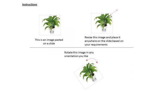 Stock Photo Graphics Of Green Plant In Vase PowerPoint Slide