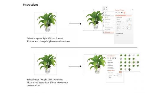 Stock Photo Graphics Of Green Plant In Vase PowerPoint Slide