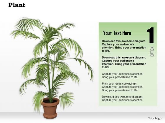 Stock Photo Graphics Of Vase With Green Plant PowerPoint Slide