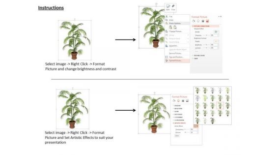 Stock Photo Graphics Of Vase With Green Plant PowerPoint Slide