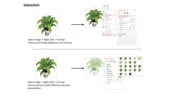 Stock Photo Illustration Of Indoor Plant PowerPoint Slide