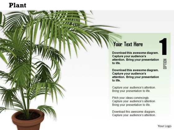 Stock Photo Illustration Of Vase With Green Plant PowerPoint Slide